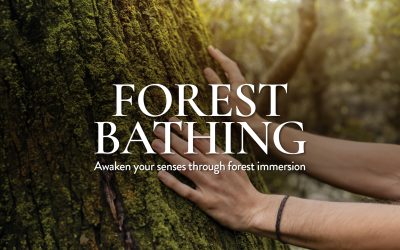 Forest Bathing