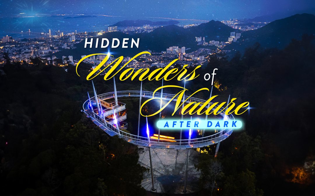 Extended Operation Hours  