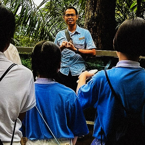 Mini Guided Tour