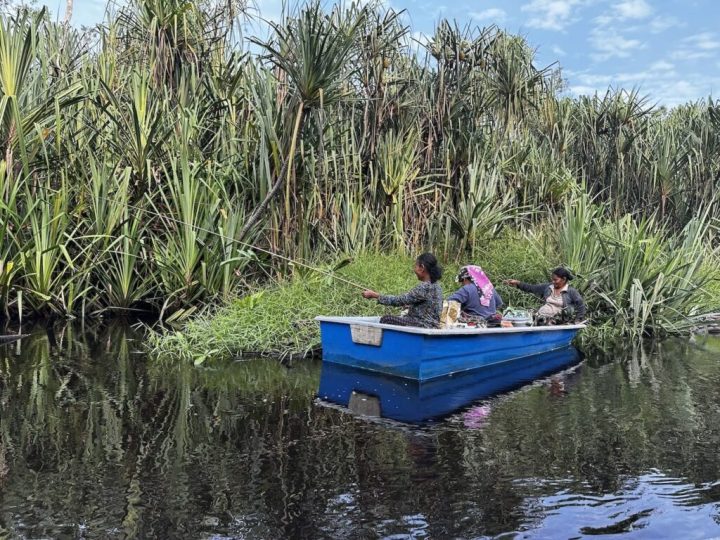 Pahang Peatland