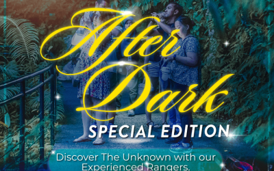 The 23rd November After Dark Special Edition