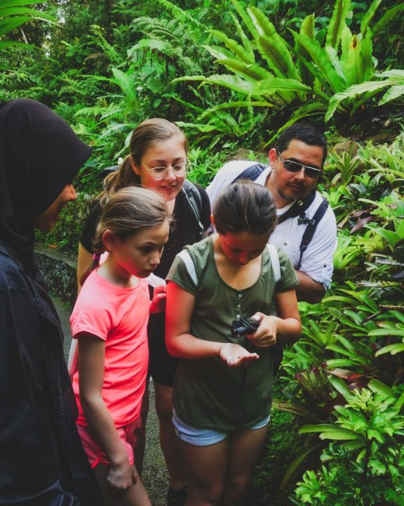 Rainforest Explorer Programme