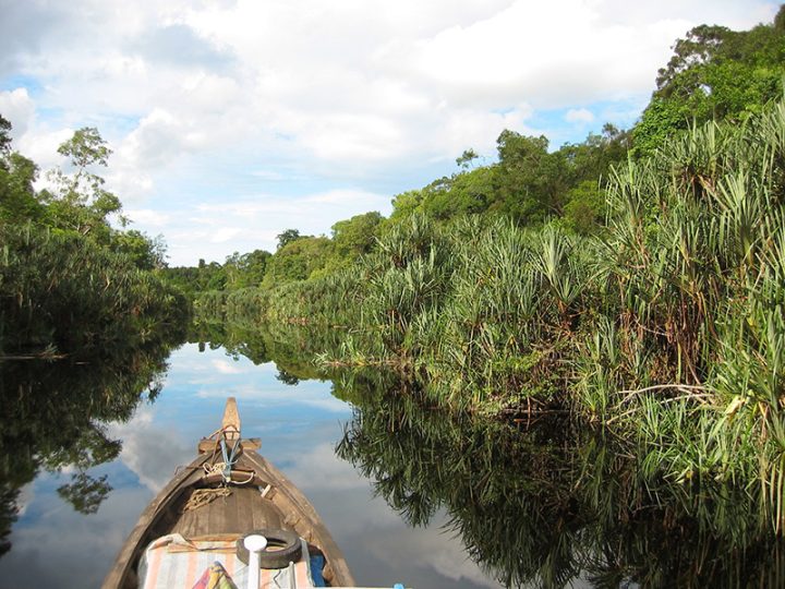 Pahang Peatland