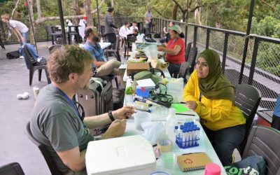 Penang Hill BioBlitz 2017