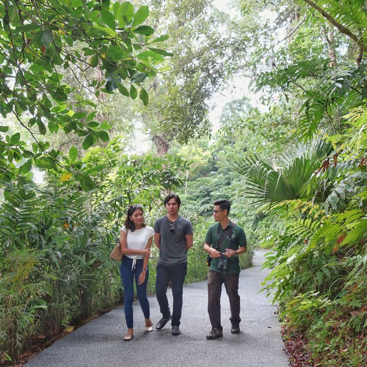 Private Guided Walk